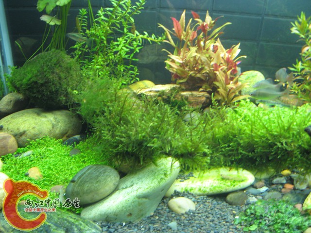 照片 058.jpg