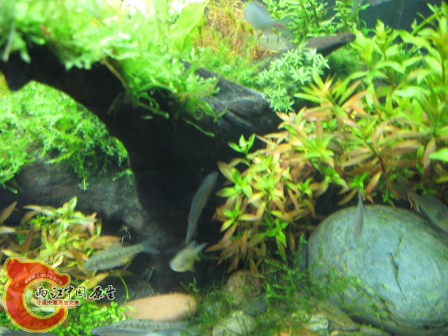 照片 059.jpg
