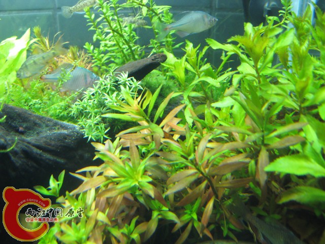 照片 060.jpg