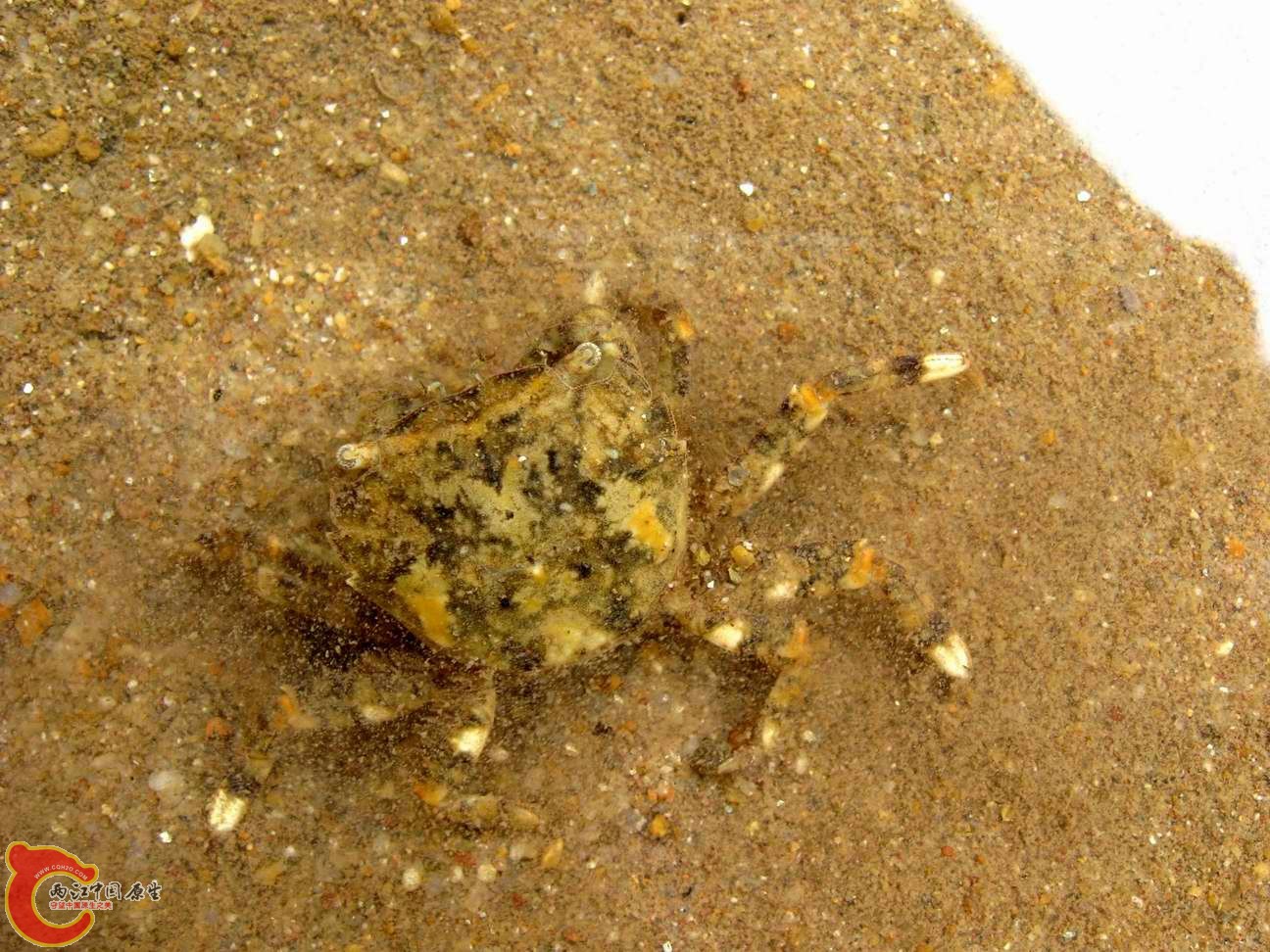 调整大小 重新曝光 照片 020.jpg