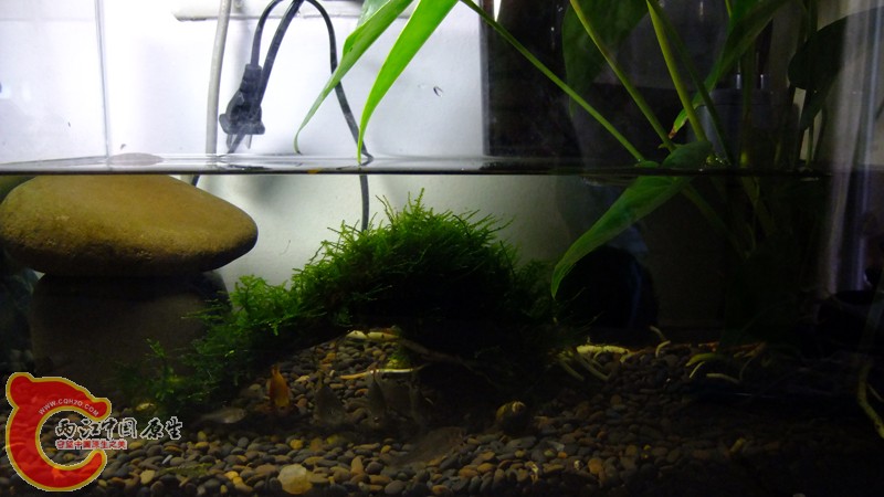 DSCF8229.jpg