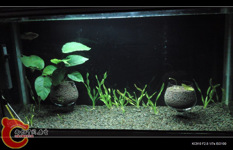 P25-04-11_21.24[02].jpg