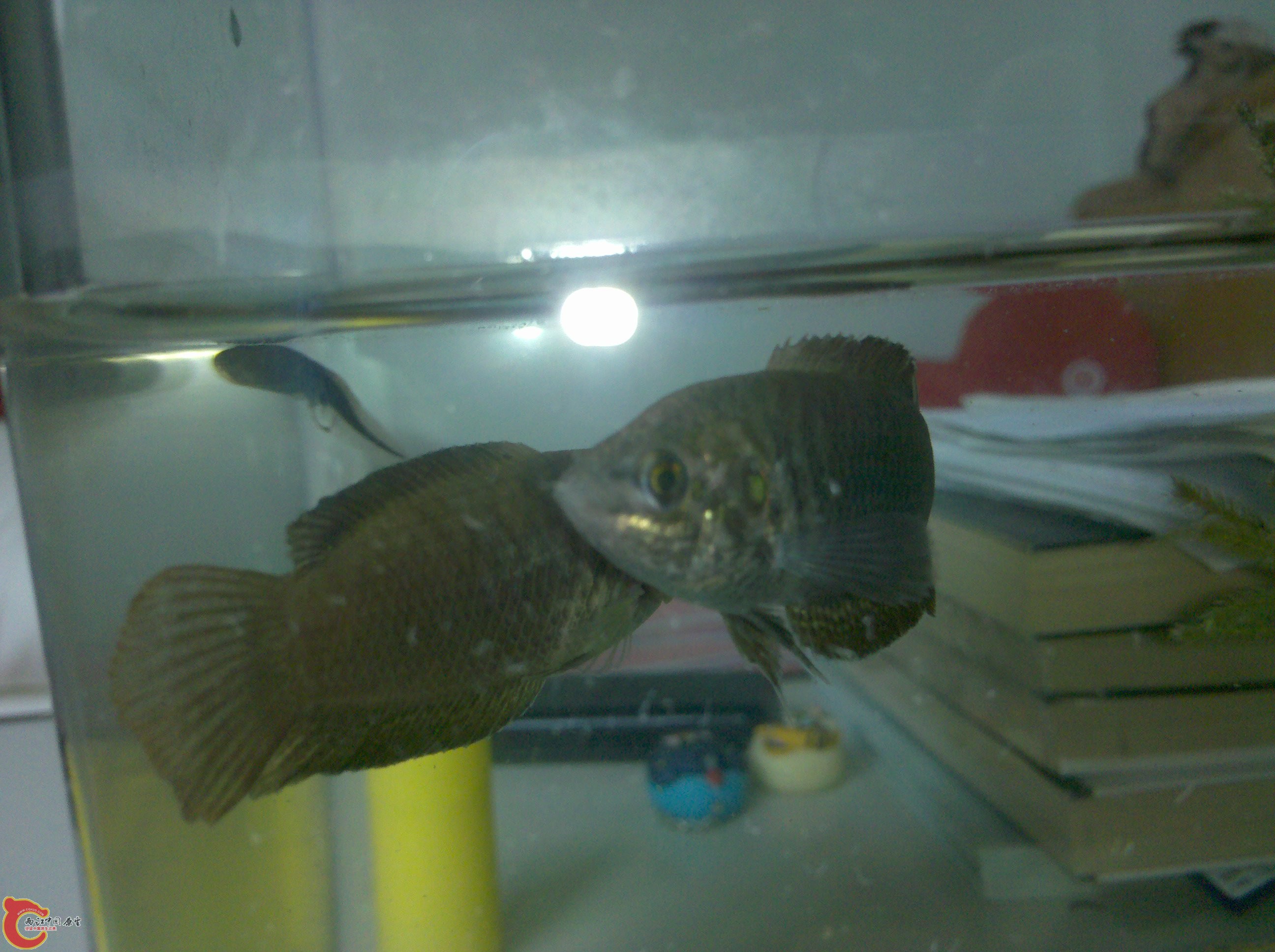 2011-04-26_13-10-45_137.jpg