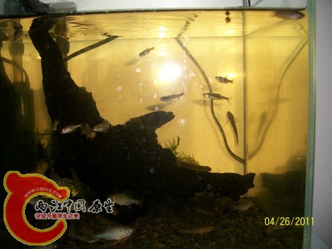 100_4181.jpg