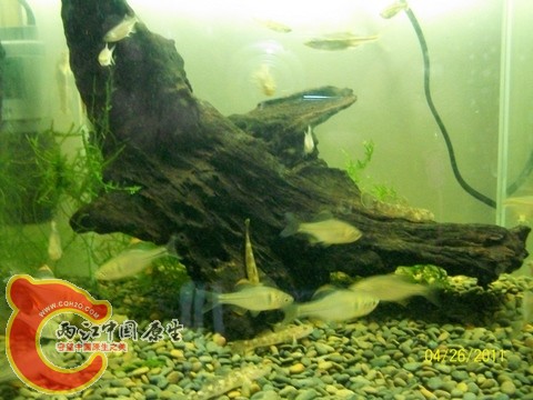 100_4177.jpg