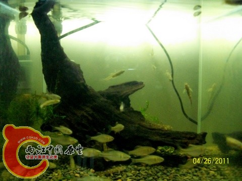 100_4180.jpg
