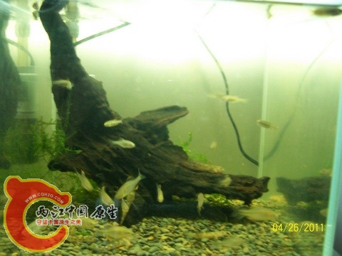 100_4182.jpg