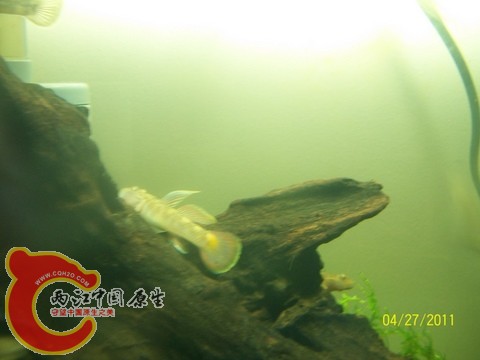 100_4195.jpg