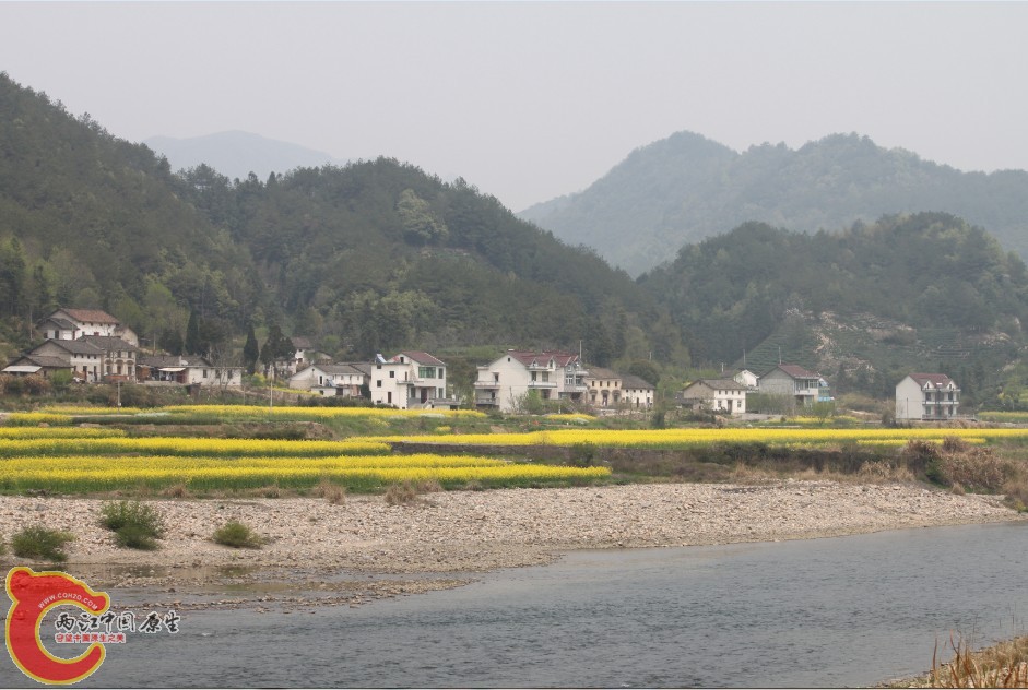 很美的水和田，油菜花