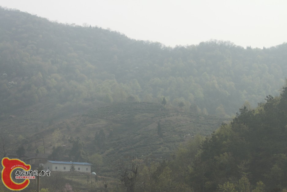 山里