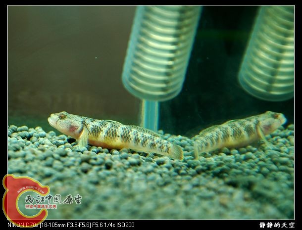 DSC_9104.jpg