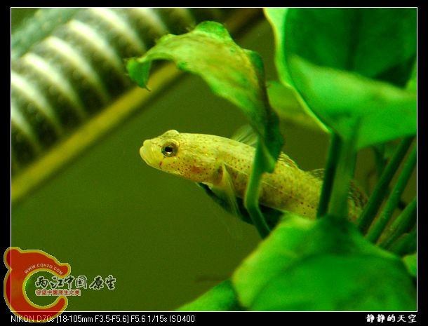 DSC_8975.jpg