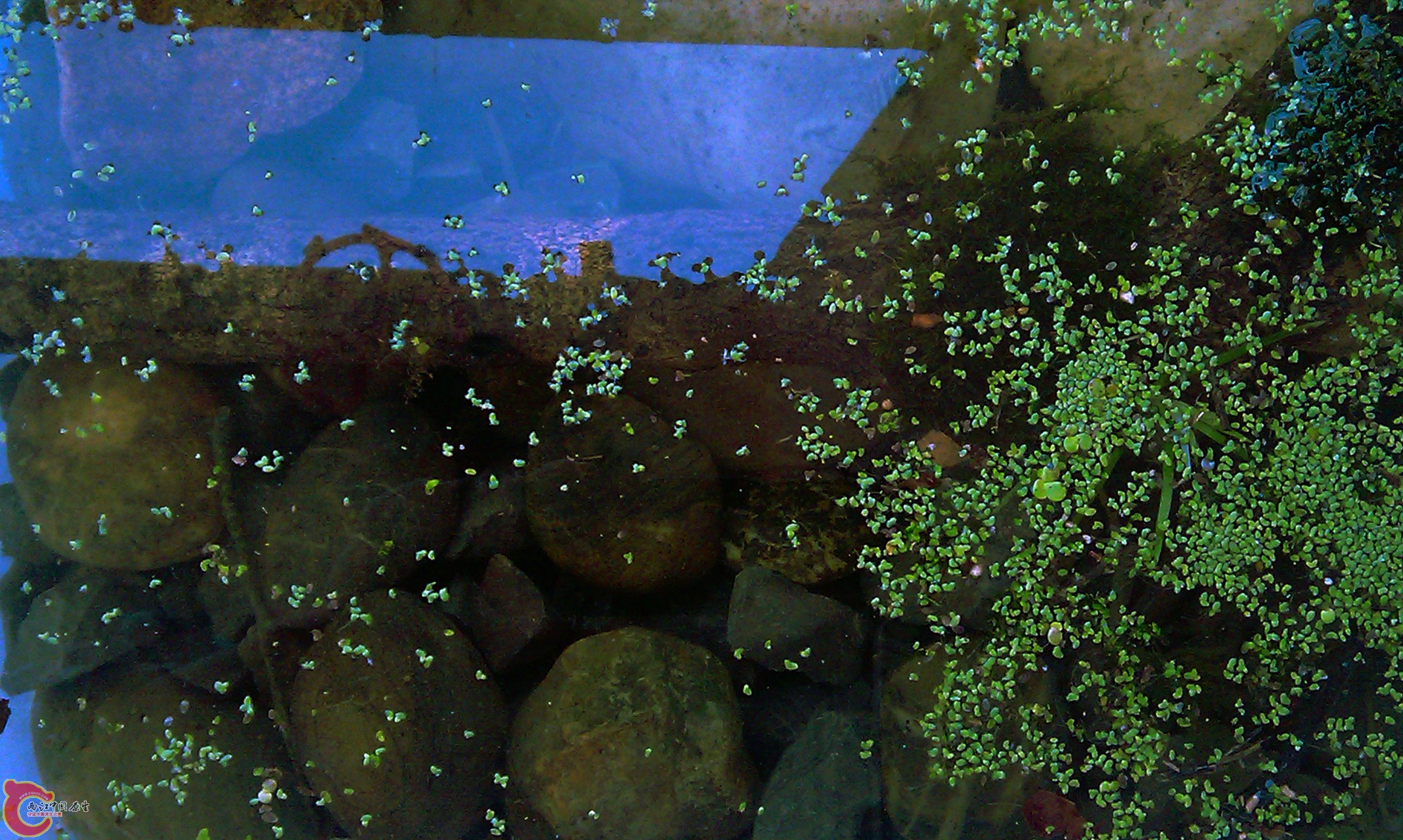 IMAG0235.jpg