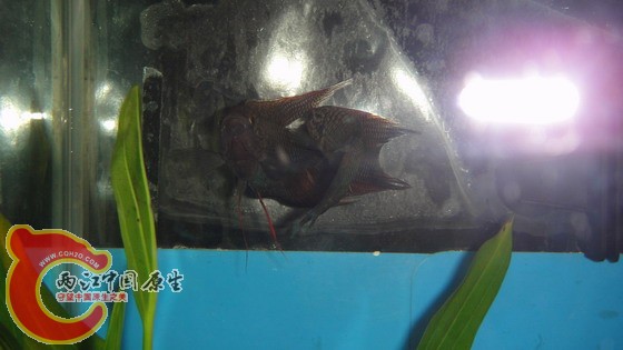 DSC04619_缩小大小.JPG