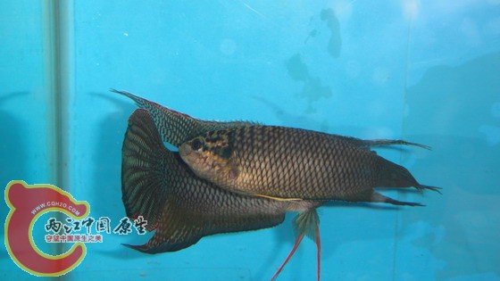 DSC04630_缩小大小.JPG