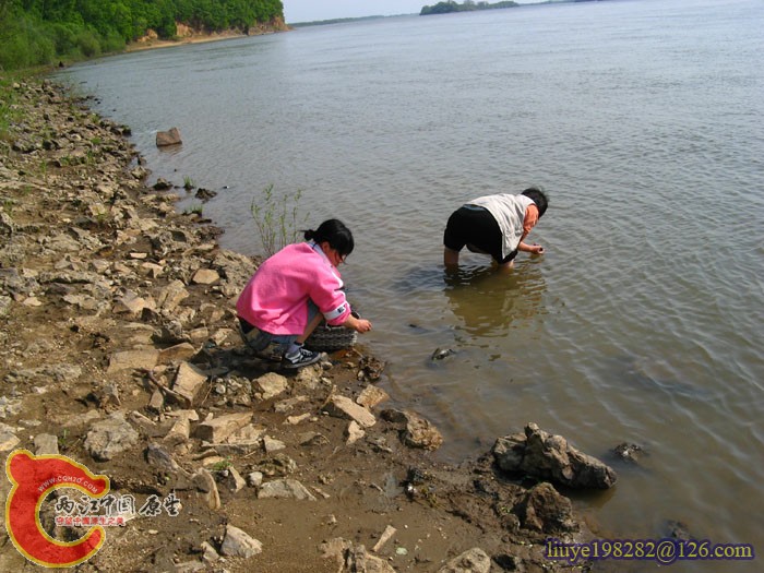 IMG (1278).jpg