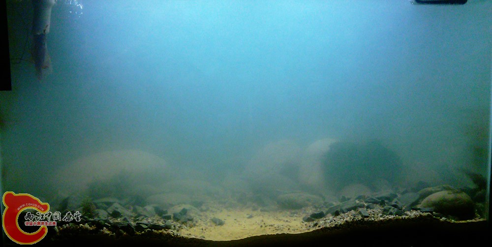 IMAG0266.jpg
