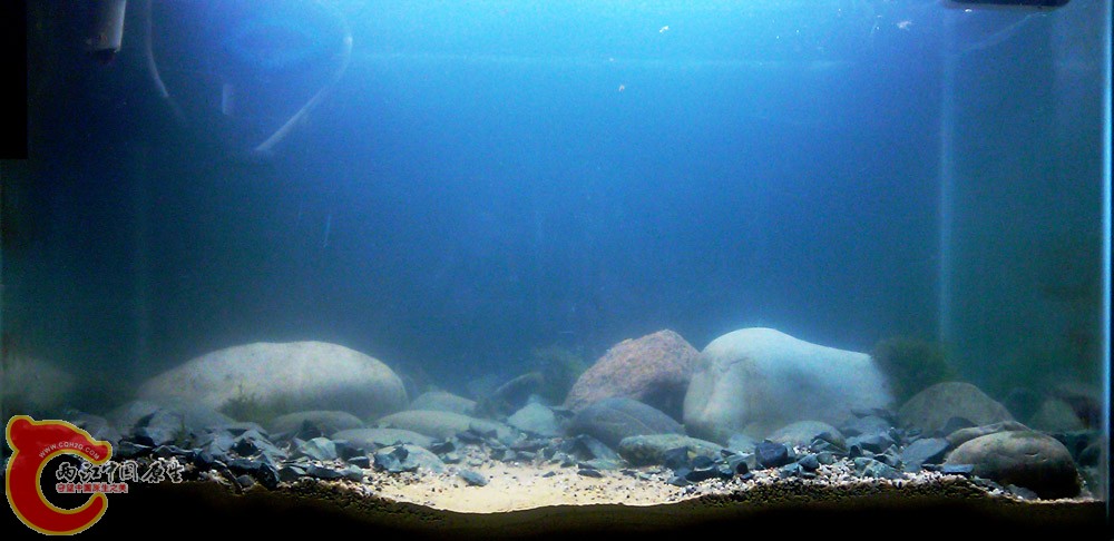 IMAG0269.jpg