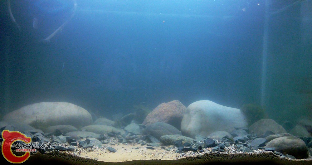 IMAG0271.jpg