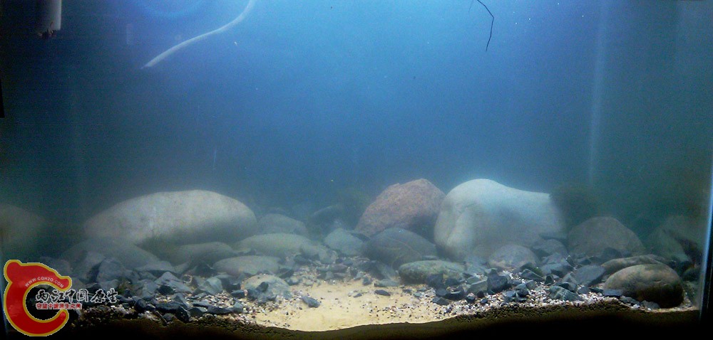 IMAG0281.jpg