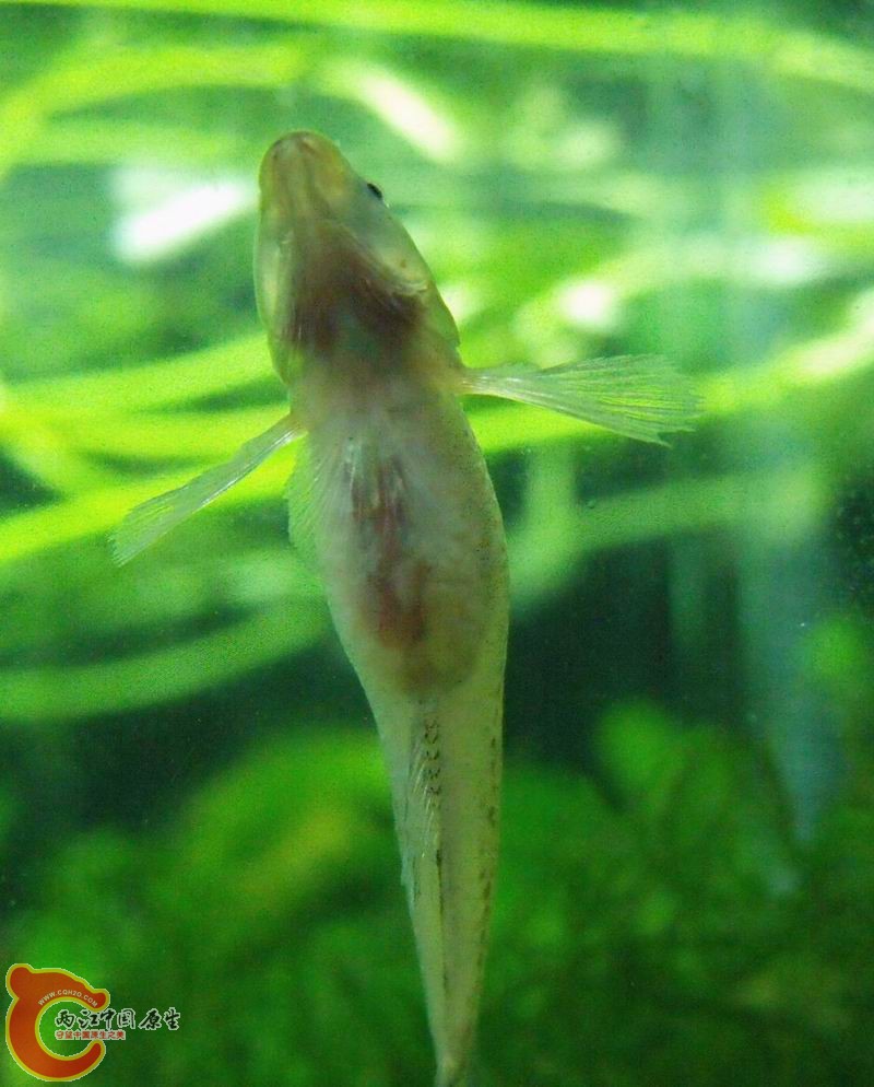 伤心的我。。。
