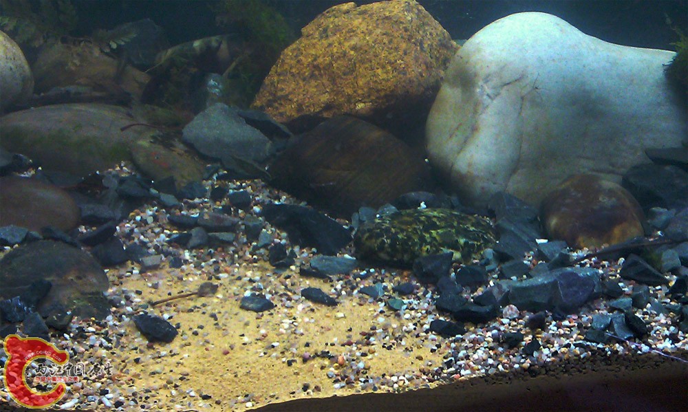 IMAG0301.jpg