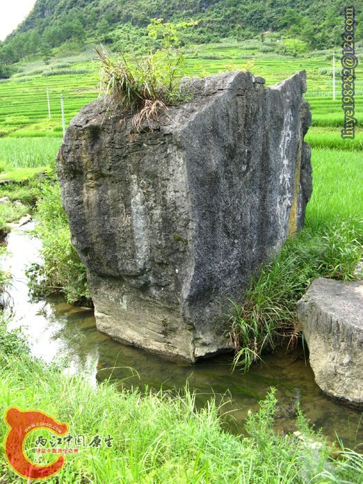 IMG (812).jpg