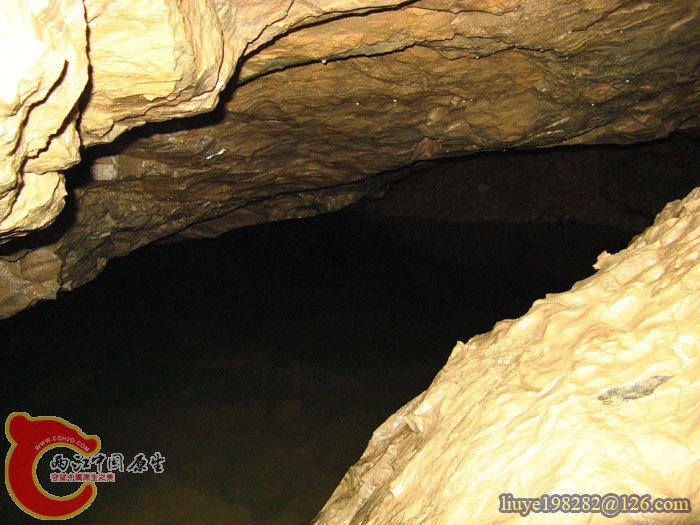 IMG (986).jpg