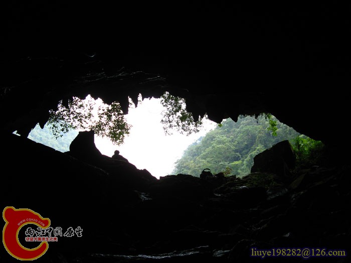 IMG (989).jpg