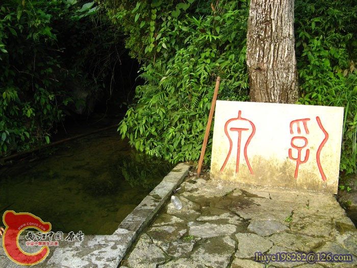 IMG (1003).jpg