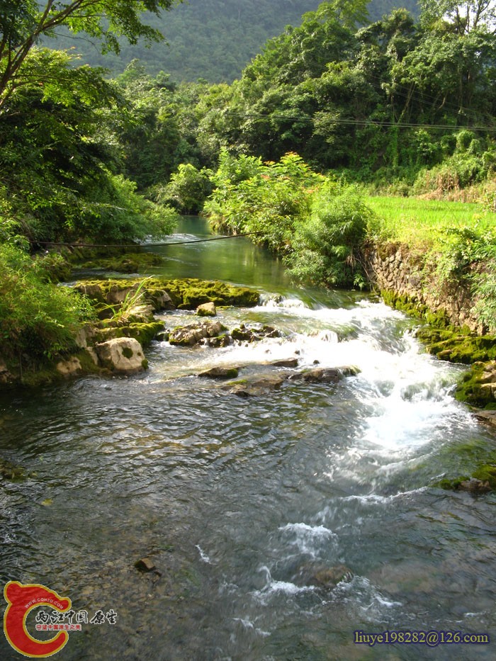 IMG (1015).jpg