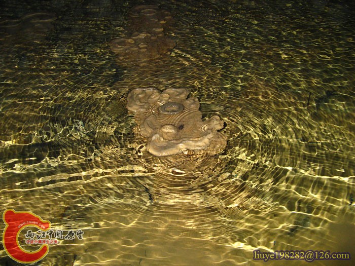 IMG (1147).jpg