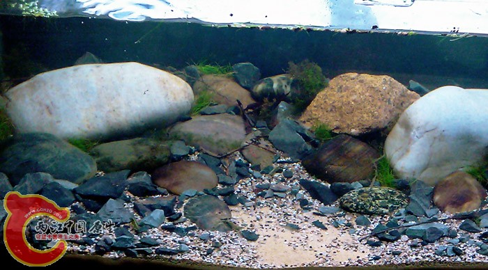 IMAG0332.jpg