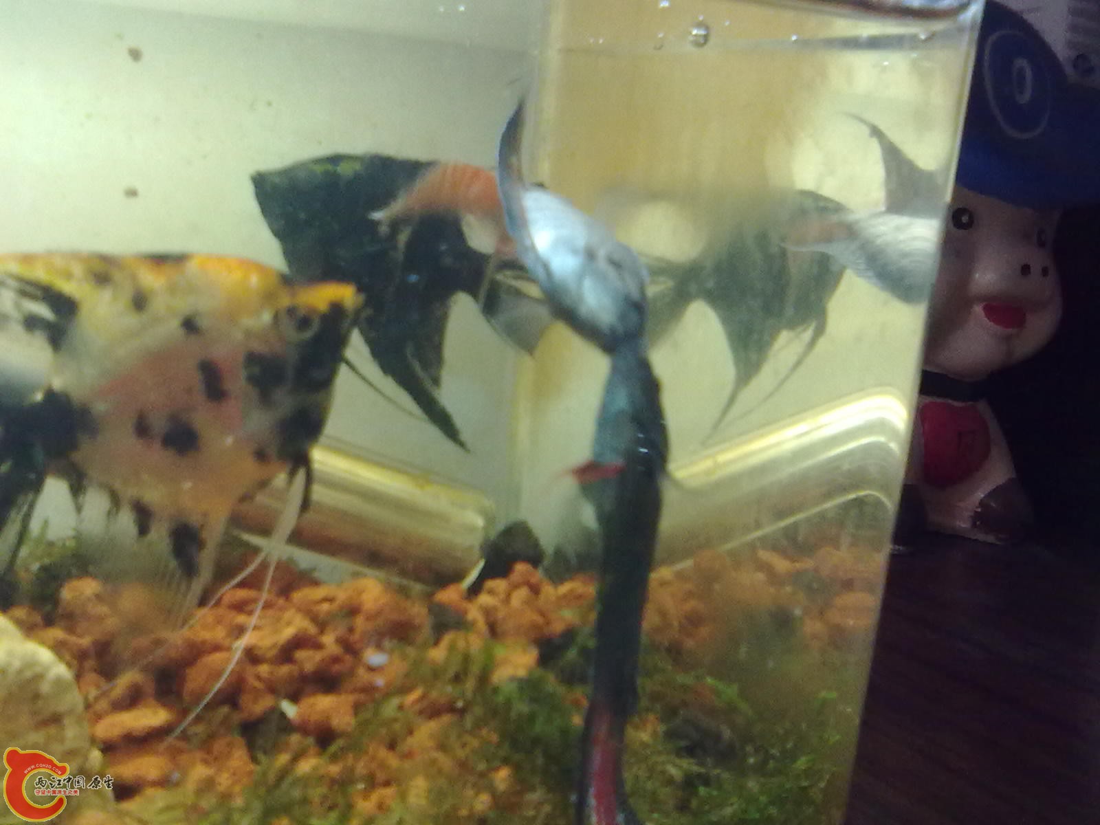 20110513159.jpg