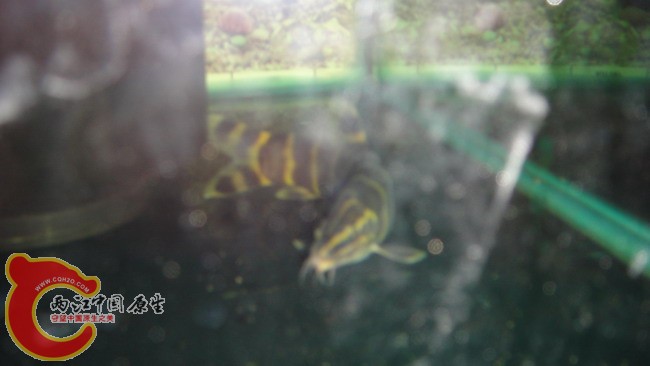 DSC04848_缩小大小.JPG