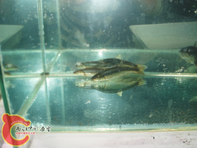 P1010296.JPG