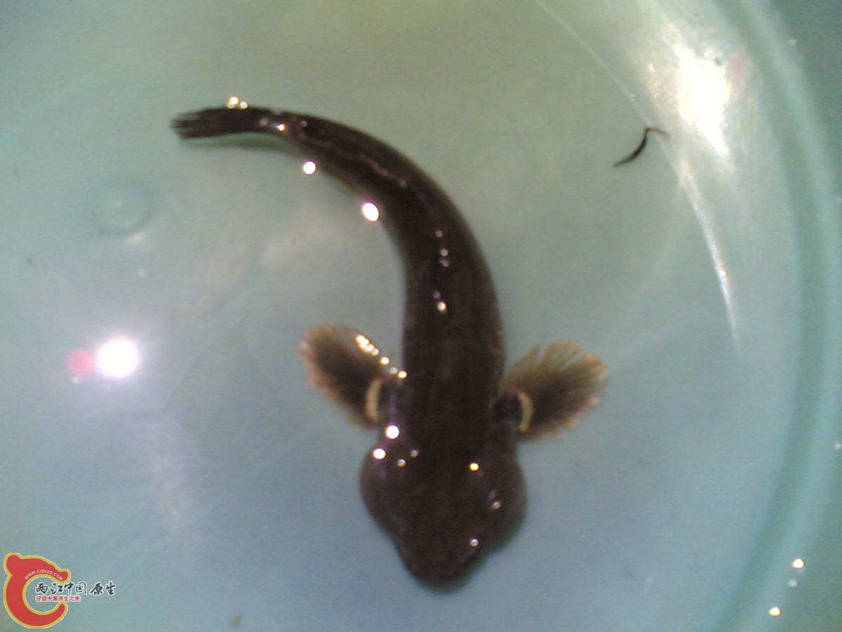 20110515.jpg