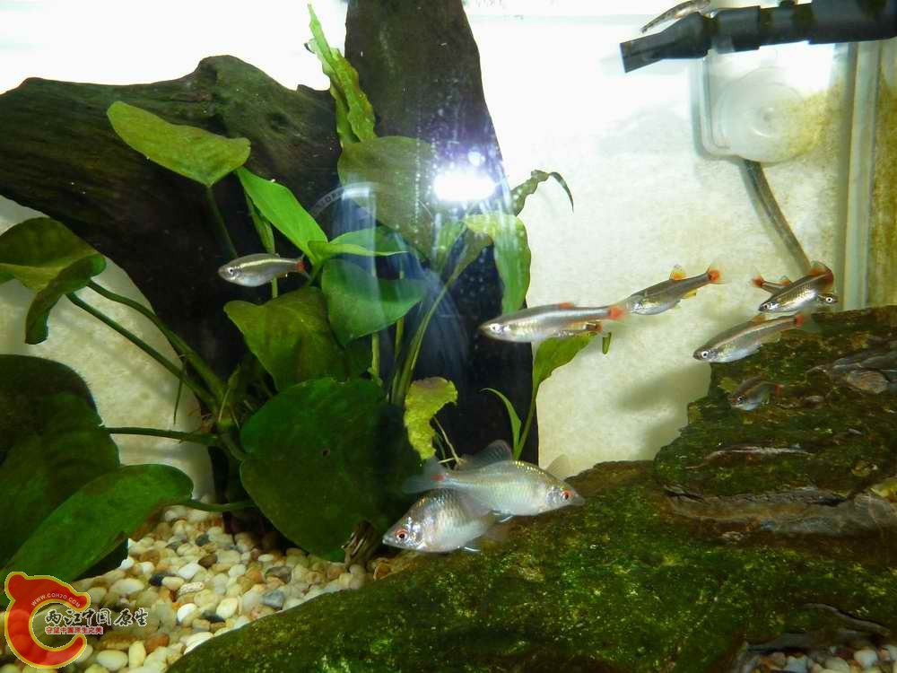 P1030111.JPG