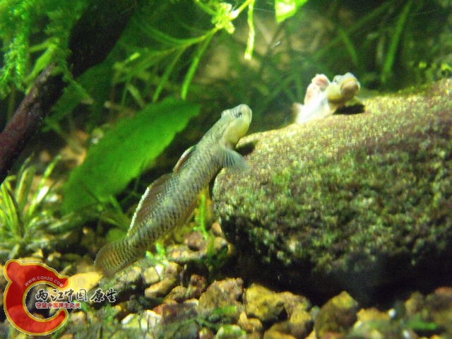 DSCF4756.JPG