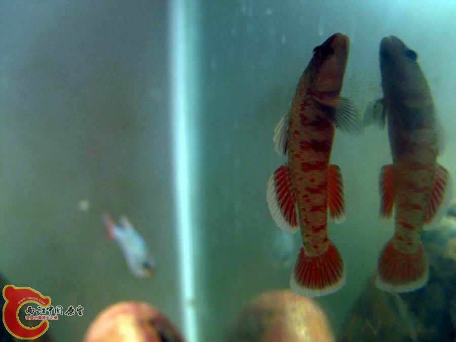 照片 377.jpg