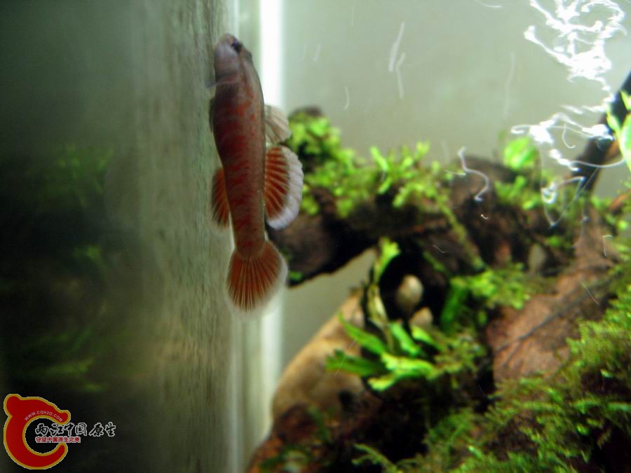 照片 387.jpg