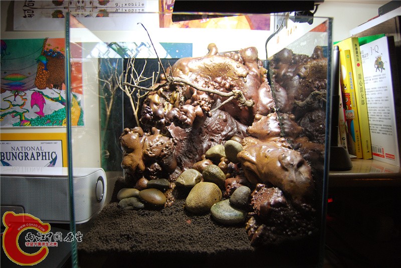 DSC_0208_副本.jpg