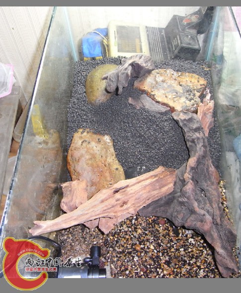 2011-05-24_005216.jpg