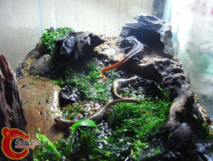 2011-05-24_005416.jpg