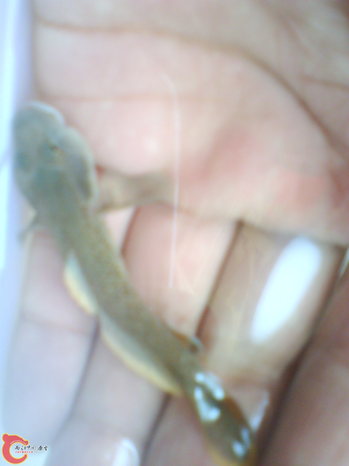 image20110517_111814.jpg