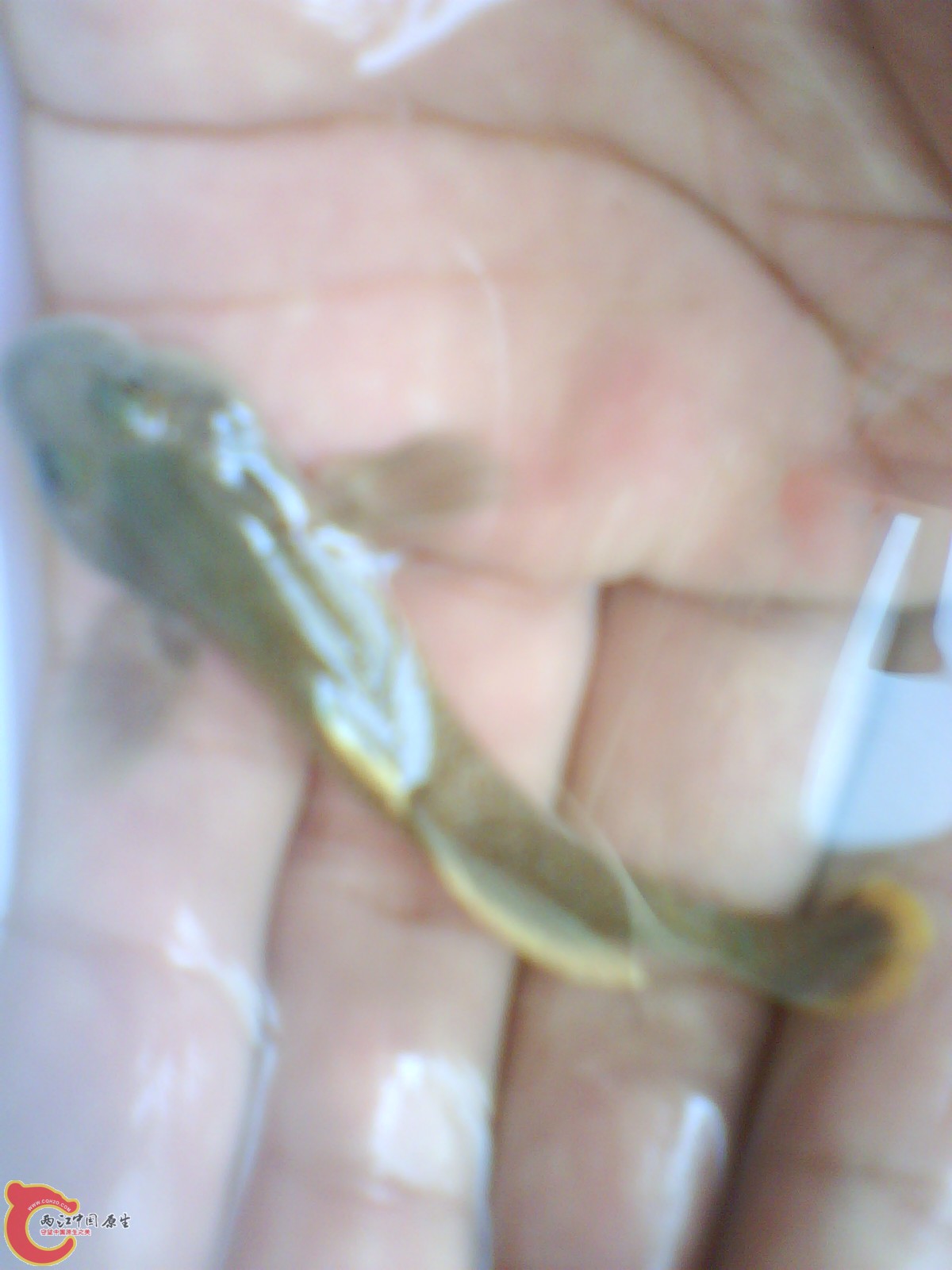 image20110517_111834.jpg