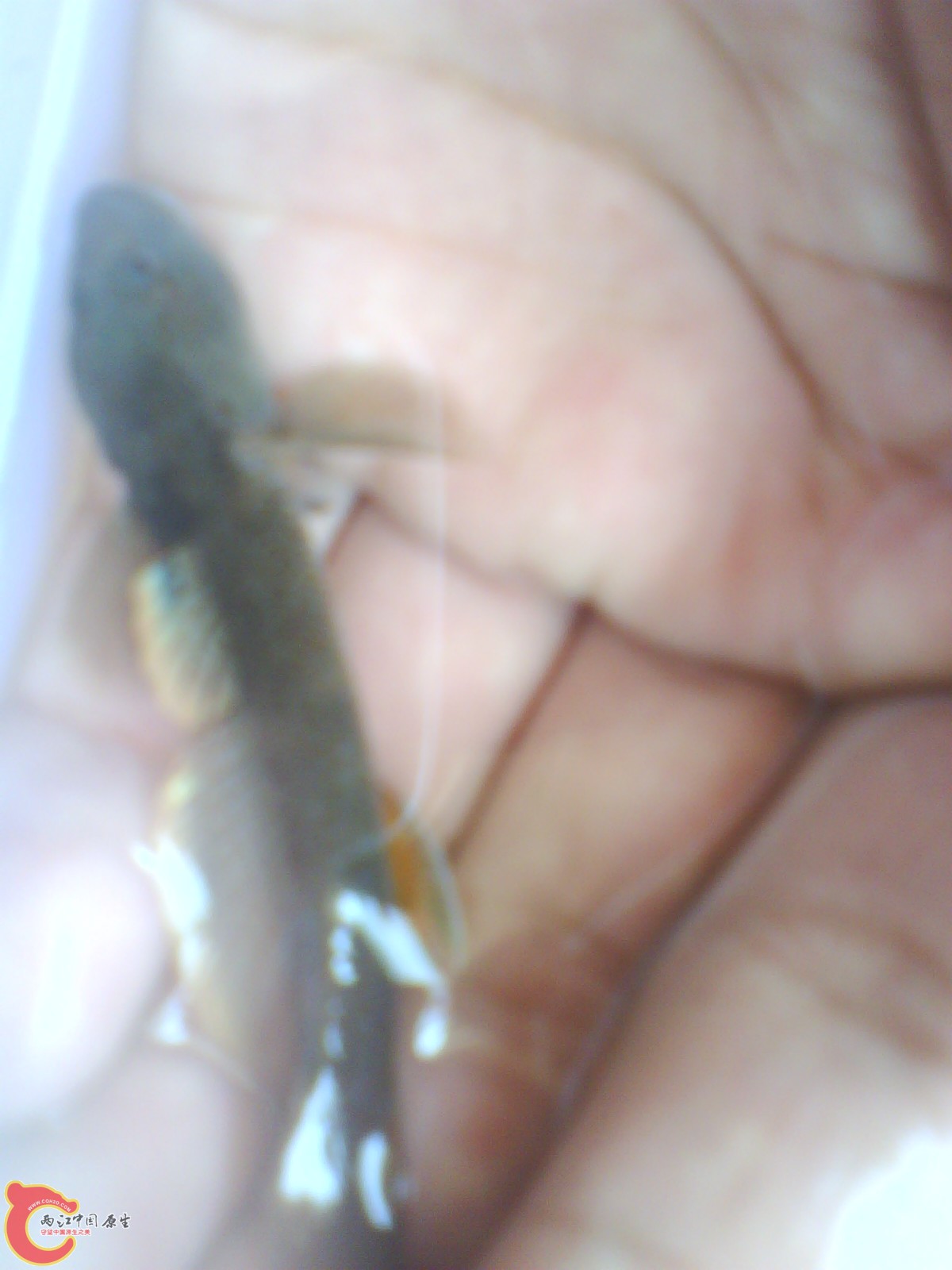 image20110517_111939.jpg