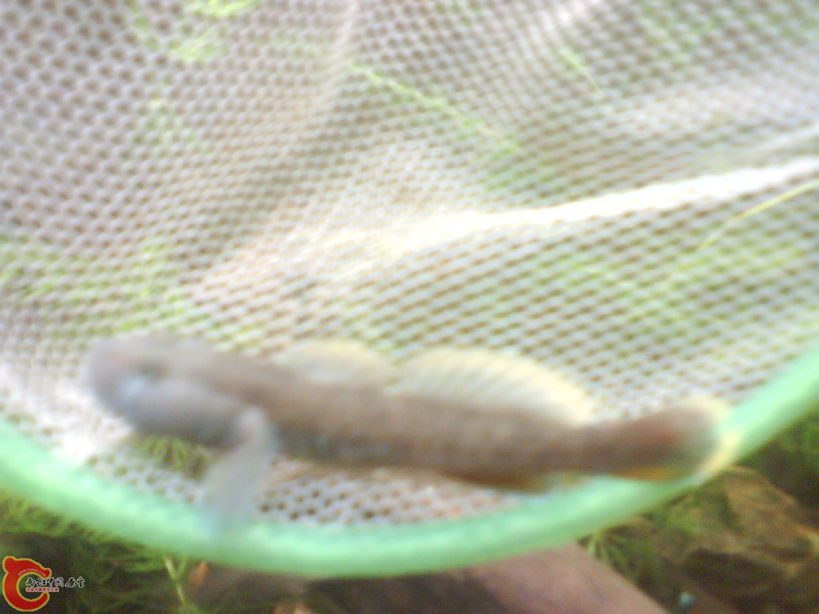 image20110517_161507.jpg