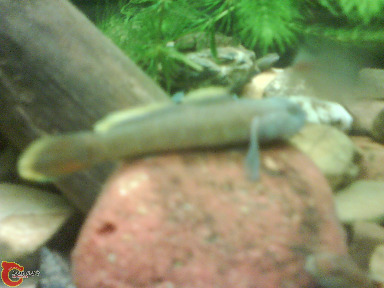 image20110518_164918.jpg