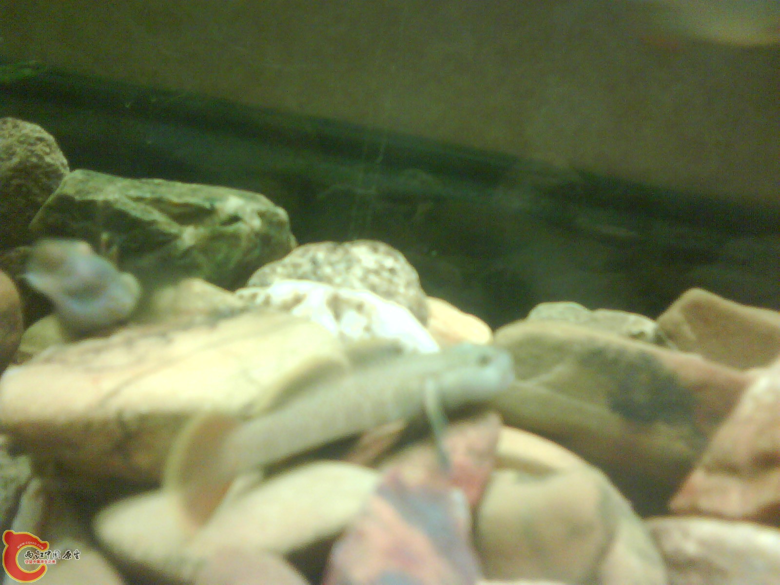image20110523_183004.jpg